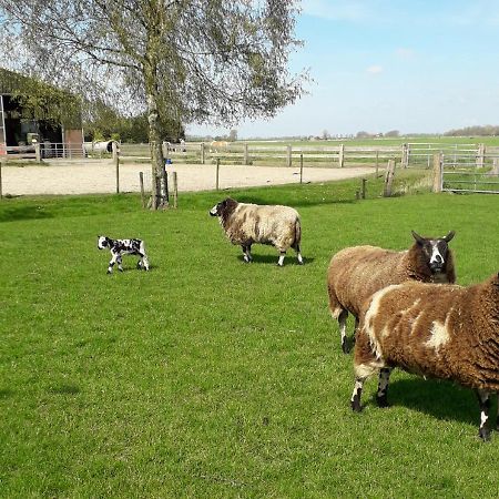 B & B De Gouwe Plek Hoogwoud Bagian luar foto