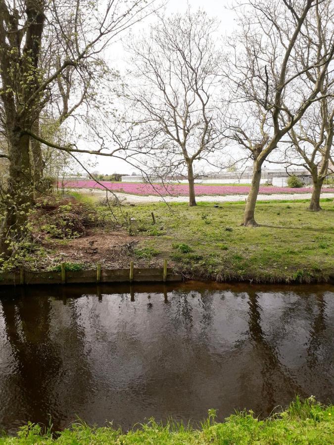 B & B De Gouwe Plek Hoogwoud Bagian luar foto