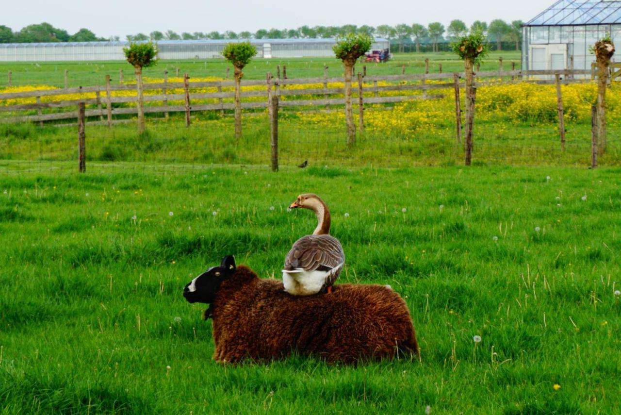 B & B De Gouwe Plek Hoogwoud Bagian luar foto